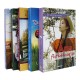 Katër librat me historitë e Ana flokëkuqes, set me 4 libra