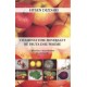 Vitaminat dhe mineralet në fruta dhe perime