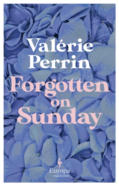 Forgotten on Sunday : From the million copy bestselling author of Fresh Water for Flowers