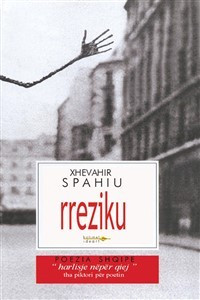 Rreziku