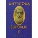Antigona