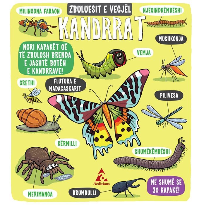 Zbuluesit e vegjel - Kandrrat