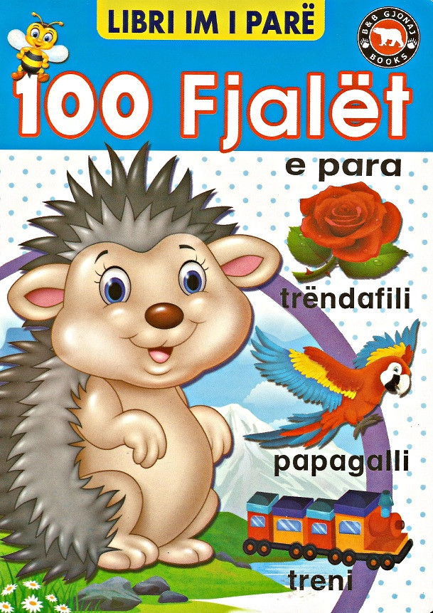 Libri im i pare 100 fjalet