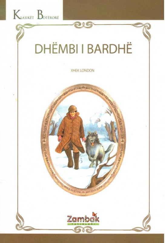 Dhembi i bardhe - Zambaku