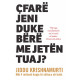 Cfare jeni duke bere me jeten tuaj?