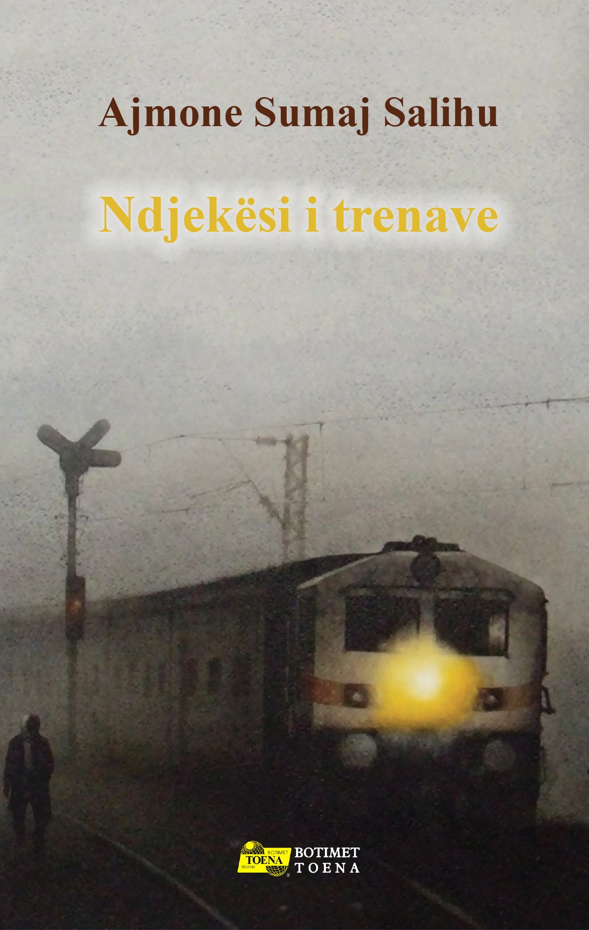 Ndjekesi i trenave