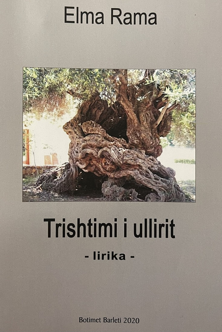 Trishtimi i ullirit