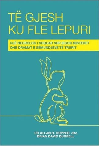 Te gjesh ku fle lepuri