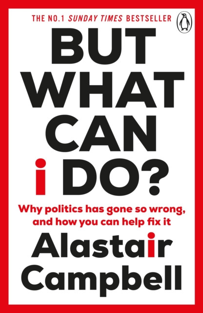 But What Can I Do? : Why Politics Has Gone So Wrong, and How You Can Help Fix It