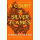 A court of silver flames