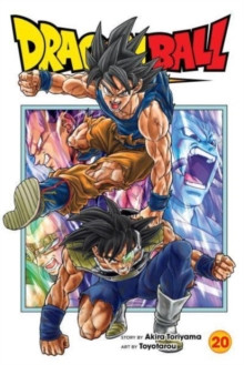 Dragon Ball Super, Vol. 20 : 20