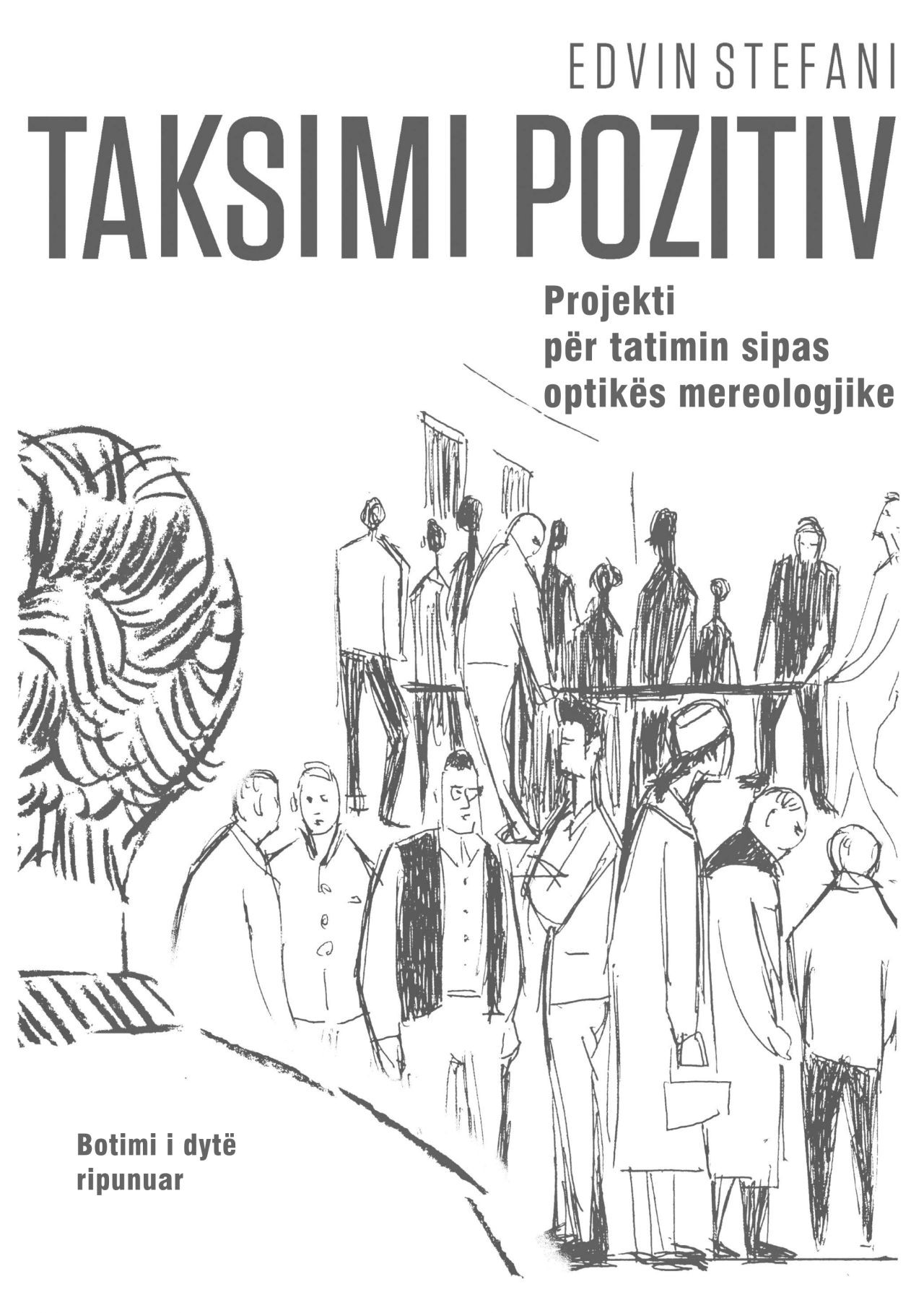 Taksimi pozitiv