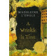 A Wrinkle in Time