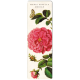 Bookmark Maria Sibylla Merian Rose
