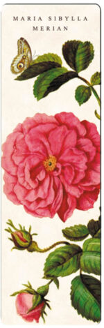 Bookmark Maria Sibylla Merian Rose