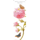 Bookmark Maria Sibylla Merian