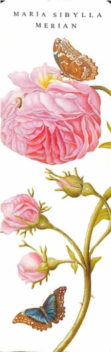 Bookmark Maria Sibylla Merian