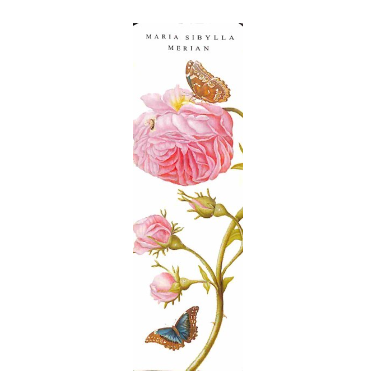 Bookmark Maria Sibylla Merian