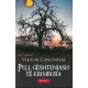 Pyll gështenjash të krimbura