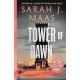 Tower of Dawn