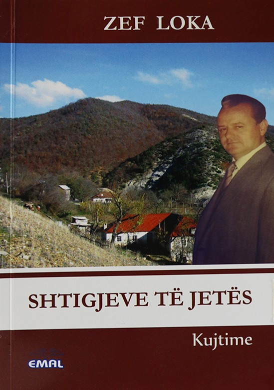 Shtigjeve te jetes