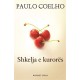 Set 4 libra, Magjia e Paulo Coelhos, dhurata ideale e festave