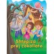 Shtepiza prej cokollate